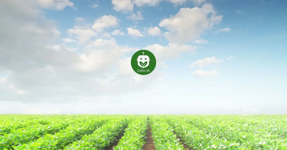 Cómo organizar la información de varios campos sin perder datos importantes