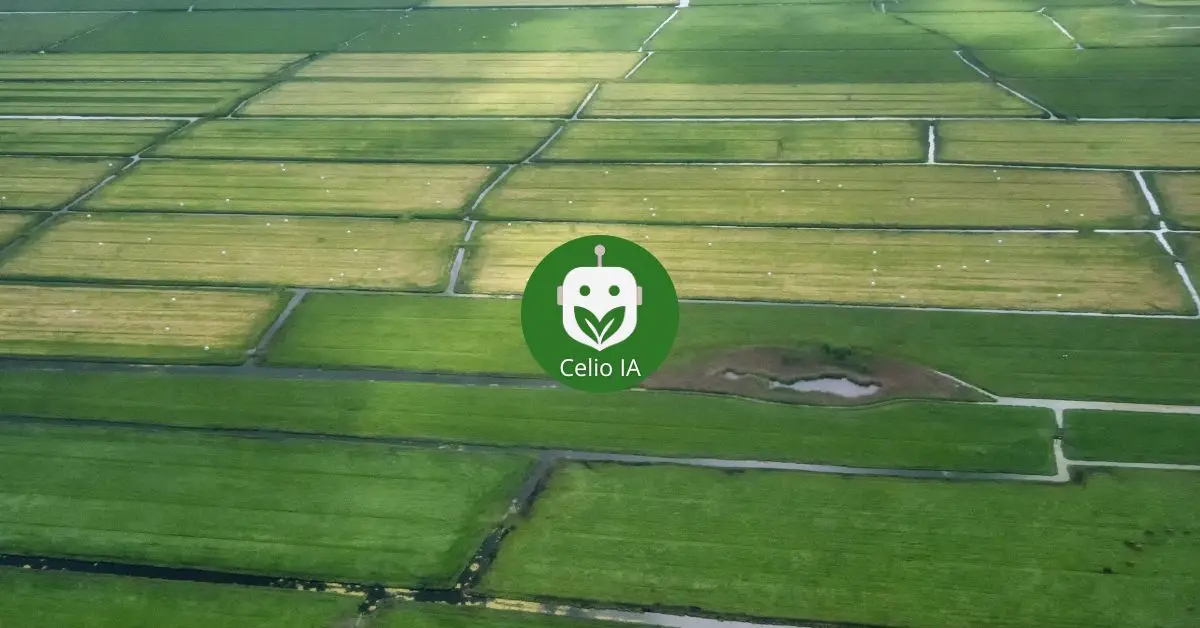 Consulta rápida en el campo: acceder a datos clave sin planillas ni papeles