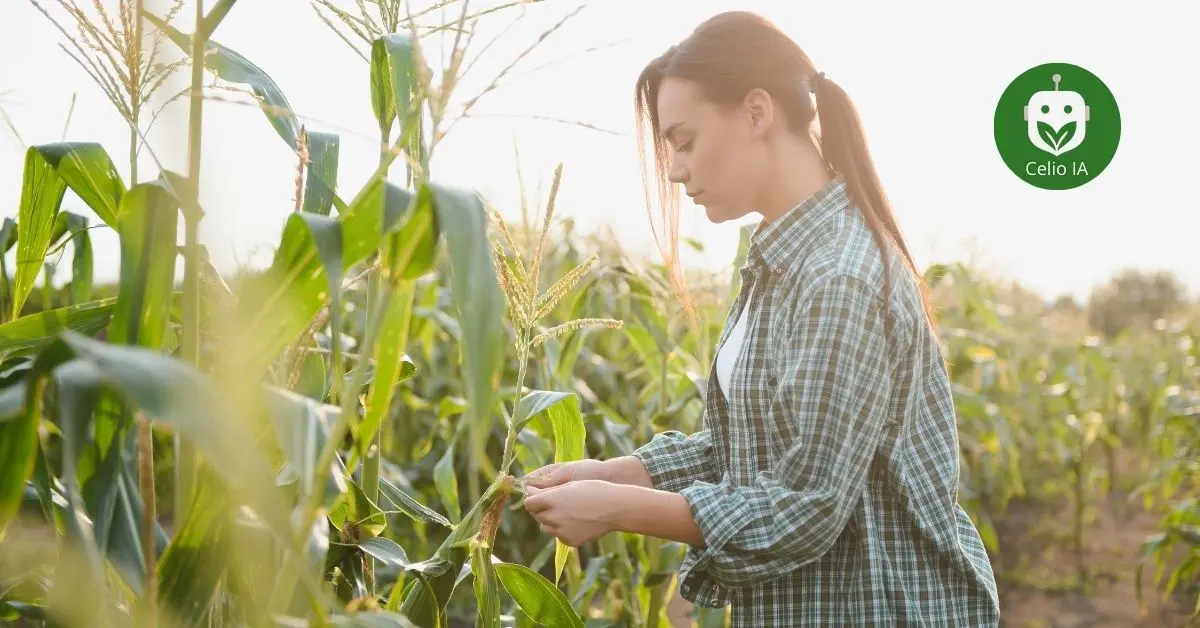 Cómo un ingeniero agrónomo puede ahorrar horas semanales usando registros por voz